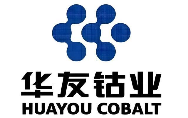 “华友钴业”翻倍还是腰斩? “华友钴业”翻倍还是腰斩?