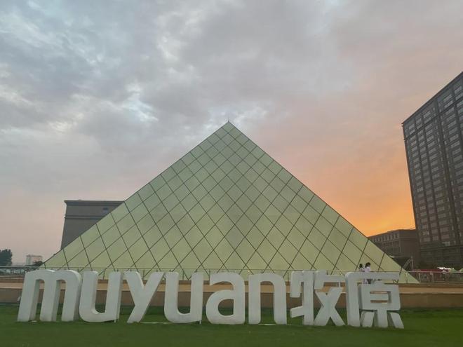 秦英林：向品质进发