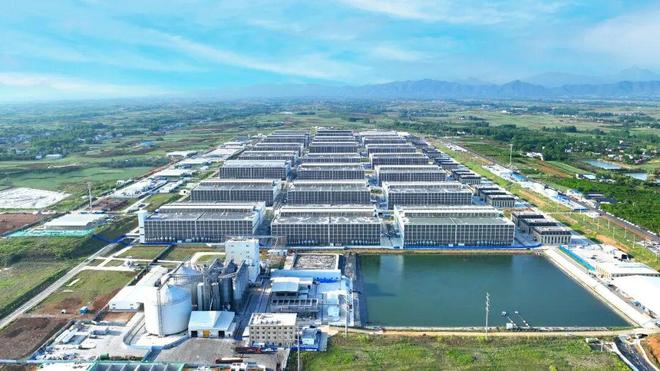 秦英林：向品质进发