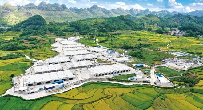 秦英林：向品质进发