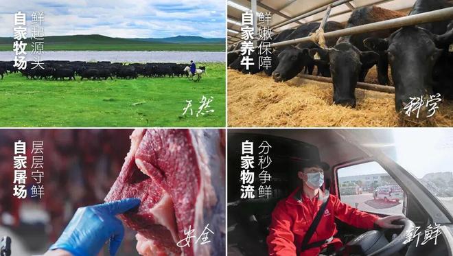 公开透明、可观可感！品牌多店齐开，火锅竞争再升级