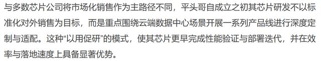 平头哥拟上市背后：阿里的 “云 - 模 - 芯” 野心与三重博弈