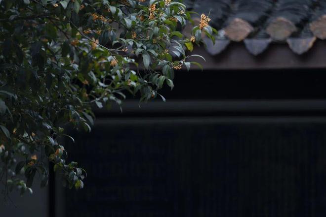 2026股市猜想 2026股市猜想