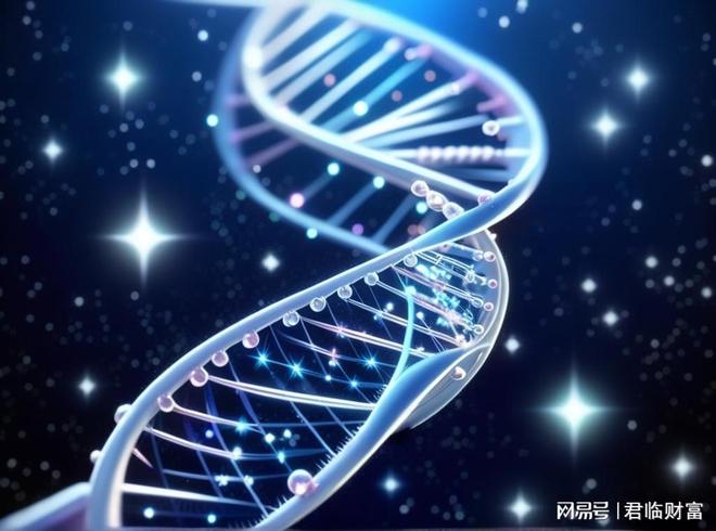 原来这才是最赚钱的AI赛道啊！