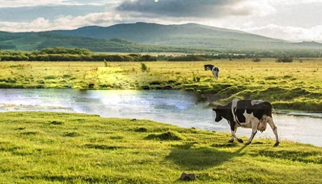 南方乳业业务聚焦于贵州，经销占比六成，研发人员变动大