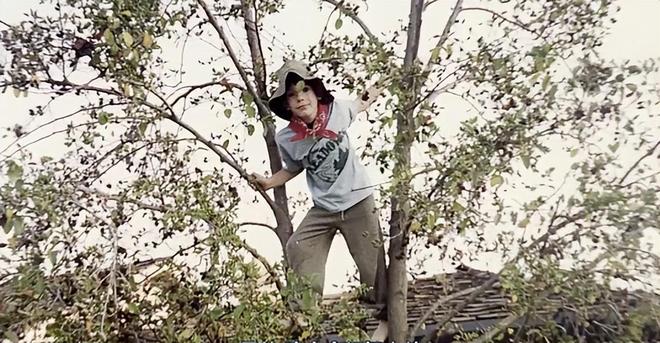 40岁的他，是世界徒手攀岩第一人，也是风险管理大师｜中企荐读