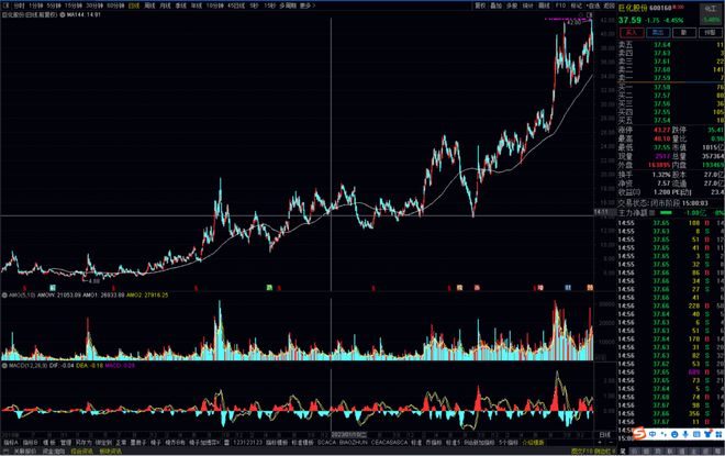 精读季报丨谢治宇的基金，为什么只适合“买”，不适合“抄”？