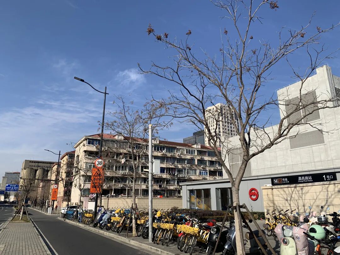 70㎡以下、400万元内老破小要被“扫货”？上海这三个区官方下场收购二手房，有工作人员回应“正在试点”，资金到位情况成焦点