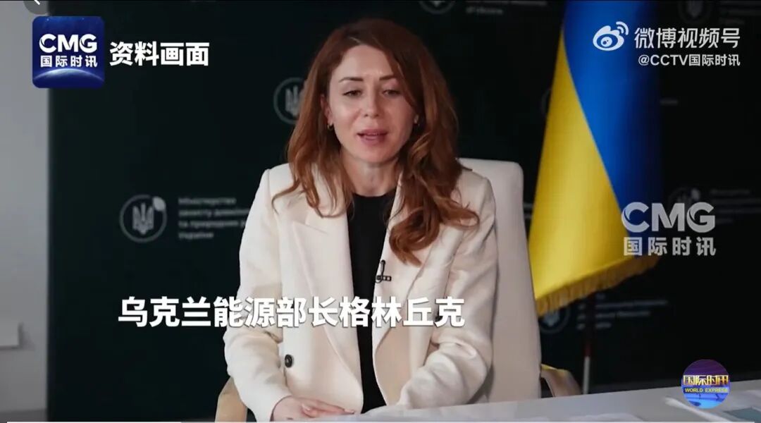 加卢先科试图离境时被捕 加卢先科试图离境时被捕