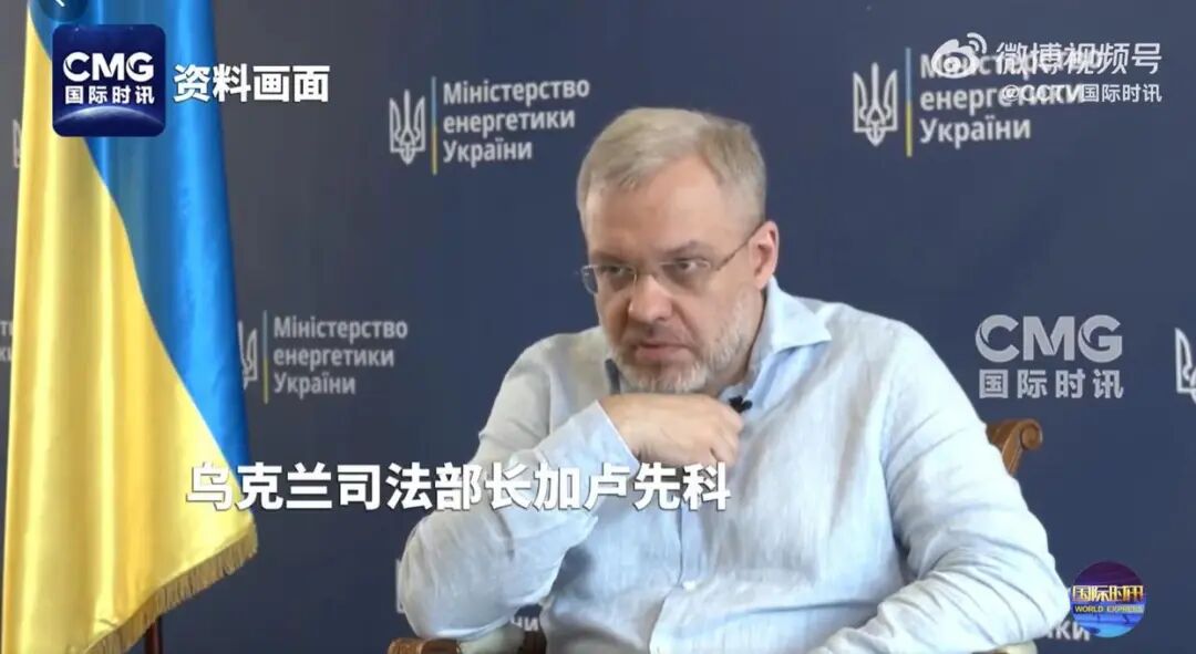 加卢先科试图离境时被捕