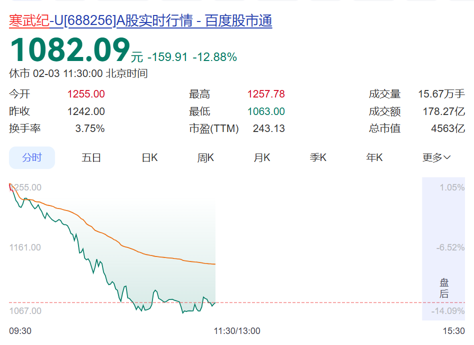 突然跳水，寒武纪大跌超12%，市值蒸发超700亿元，公司回应：不清楚具体原因，市场很多传闻都是假的！去年营收预