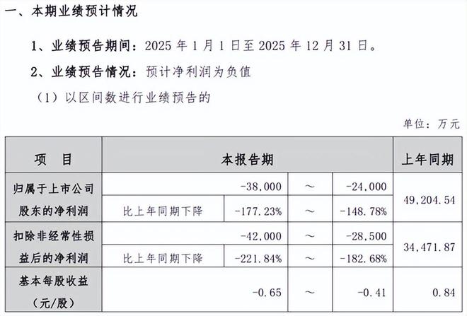 葵花药业上市首亏,二代接班人“交棒”职业经理人 葵花药业上市首亏,二代接班人“交棒”职业经理人