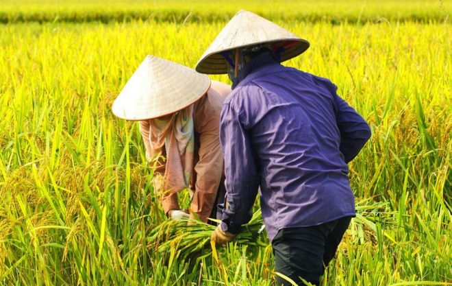 年味淡了?还是时代变了?今年过年,为啥看不见“返乡潮”? 年味淡了?还是时代变了?今年过年,为啥看不见“返乡潮”?